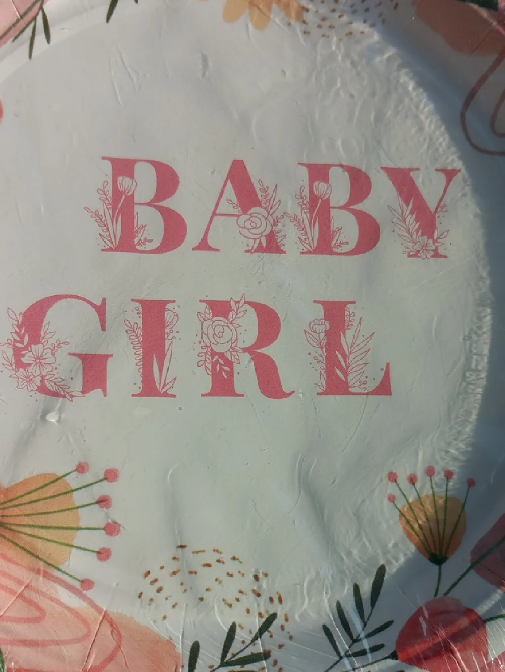 Baby Girl Floral Paper Plates - Pink - Picture 2 of 2